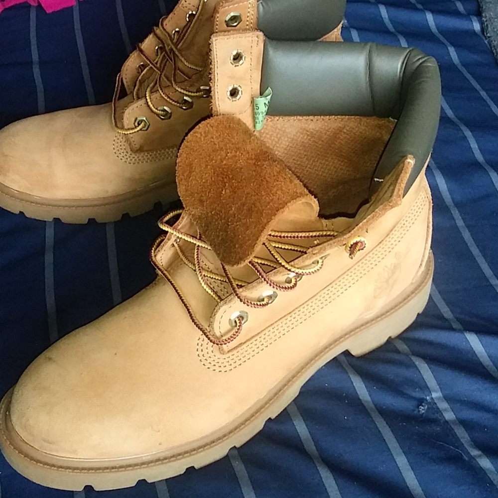 Timberlands - image 1